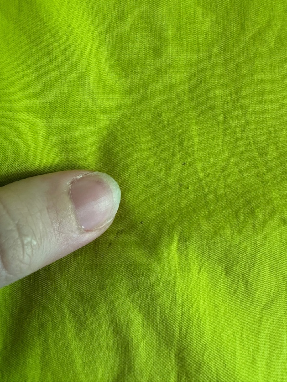 Pilcro Lime Green Button-Up Blouse - Picture 6 of 8